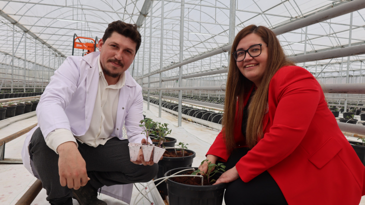 Kadın Eliyle Yetiştirilen Kırmızı Altın Lezzetler